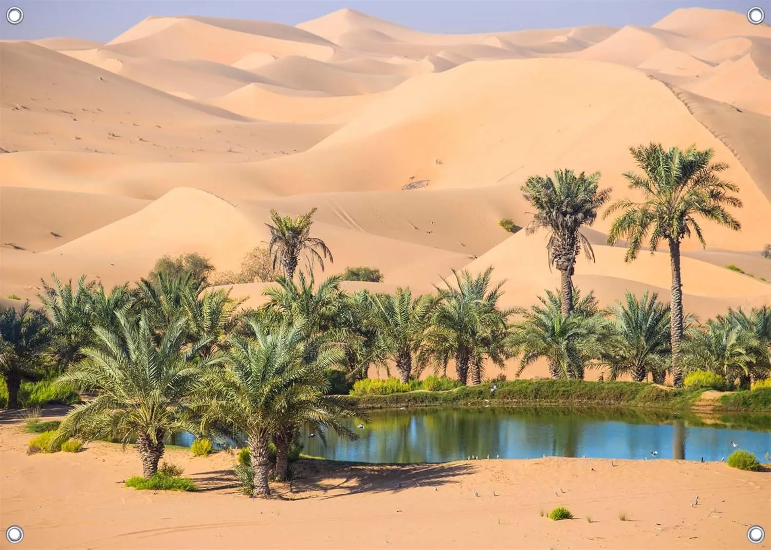 7x5ft Fabric Desert Oasis Backdrops Banner Tropical Oasis Scenery Photography Backgrounds Desert and Palm Trees Backdrops for Tropical Theme Parties Decor Banner Photo Props