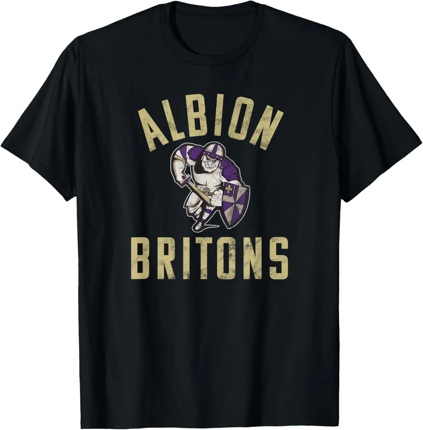 Albion College Britons Large T-Shirt
