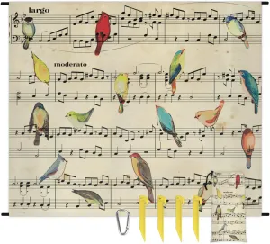 Beach Blanket, Music Note Sandproof Beach Mat, Waterproof Quick Drying Sand Free Mat with 4 x Ground Spikes for Outdoor Travel Camping Hiking, Colorful Bird 68 x 59 in