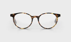 Case Closed Average Color 19 - Tortoise Front and Temples