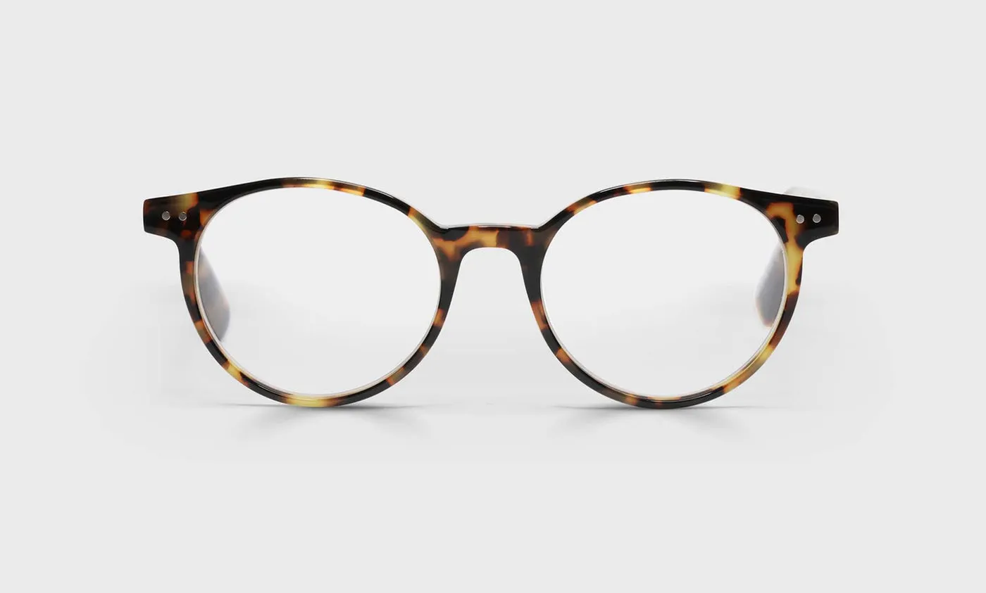 Case Closed Average Color 19 - Tortoise Front and Temples