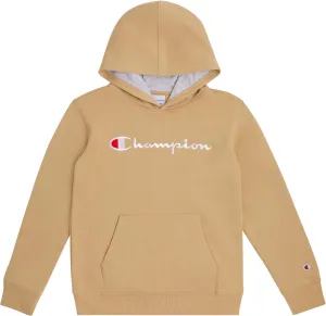 Champion Boys Hoodie for Kids Sweatshirt Fleece Youth Pullover With Hood