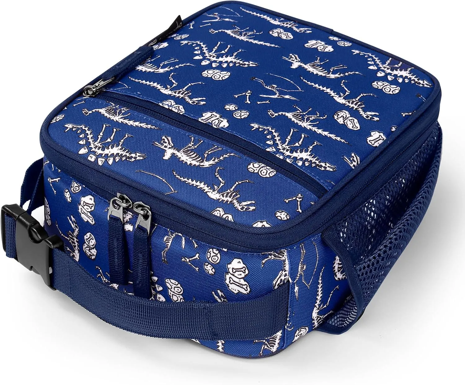 Choco Mocha Boys Lunch Box for School, Dinosaur Fossils Lunch Bag for Kids Toddler, Blue