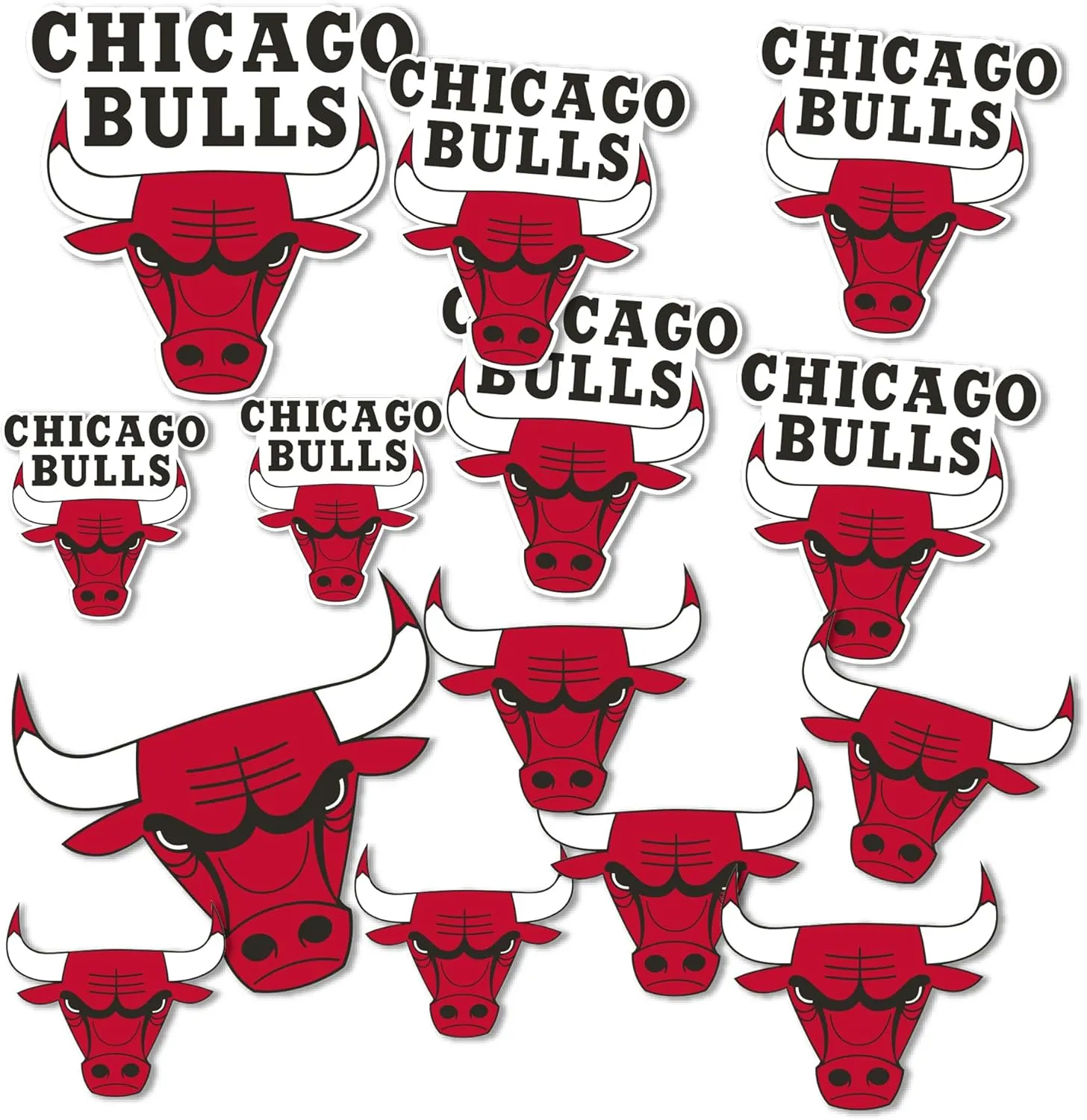 Desert Cactus Chicago Bulls Sticker NBA Officially Licensed Vinyl Decal Laptop Water Bottle Car Scrapbook Sheet (Type 1-1)