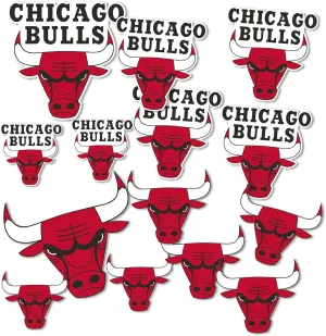 Desert Cactus Chicago Bulls Sticker NBA Officially Licensed Vinyl Decal Laptop Water Bottle Car Scrapbook Sheet (Type 1-1)