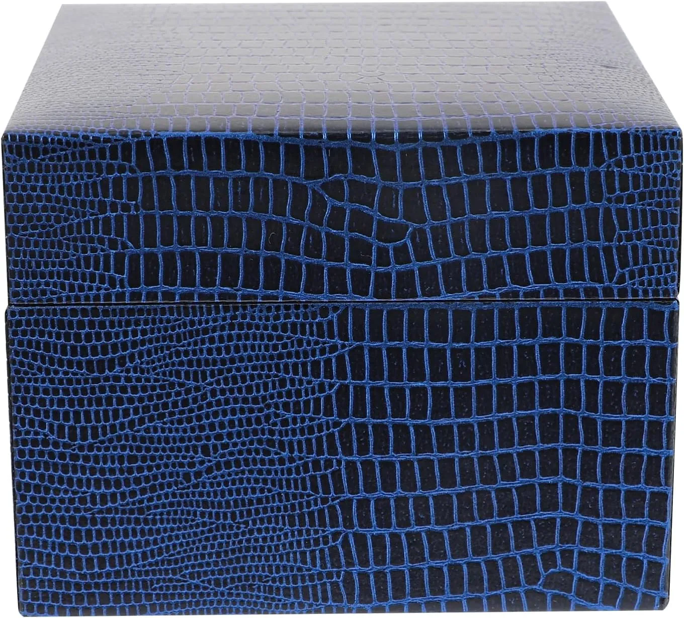 Didiseaon Lizard Pattern Clamshell Bracelet Display Box for Watches Jewelry Scratch Resistant Storage Case Stylish Design for Organizing Accessories