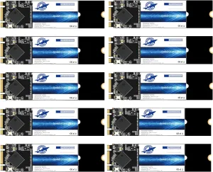 Dogfish M.2 2280 SSD 64GB SATA III 6 Gb/s, Internal Solid State Drive - Compatible with Desktop PC Laptop (M.2 2280, 64GB*10Pack)