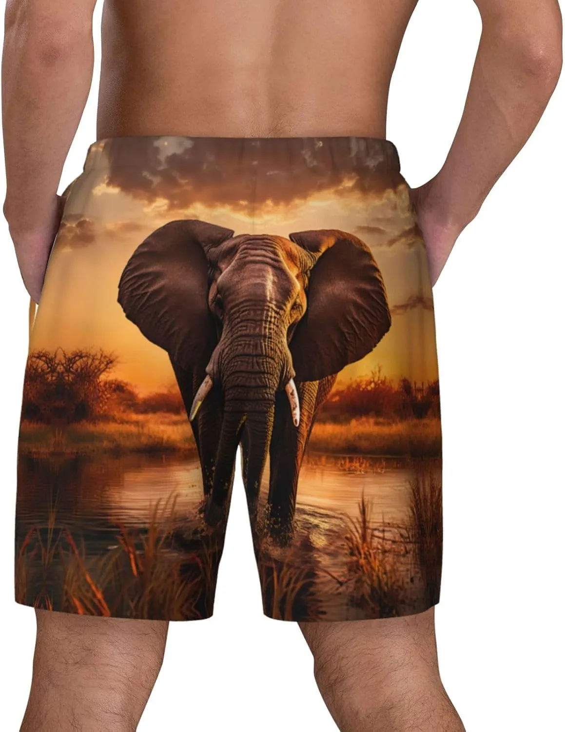 Elephant Print Men's Double Layer Swim Shorts, Gym Workout Shorts with Pocket