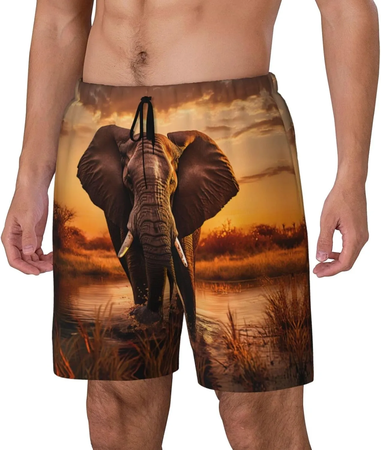 Elephant Print Men's Double Layer Swim Shorts, Gym Workout Shorts with Pocket