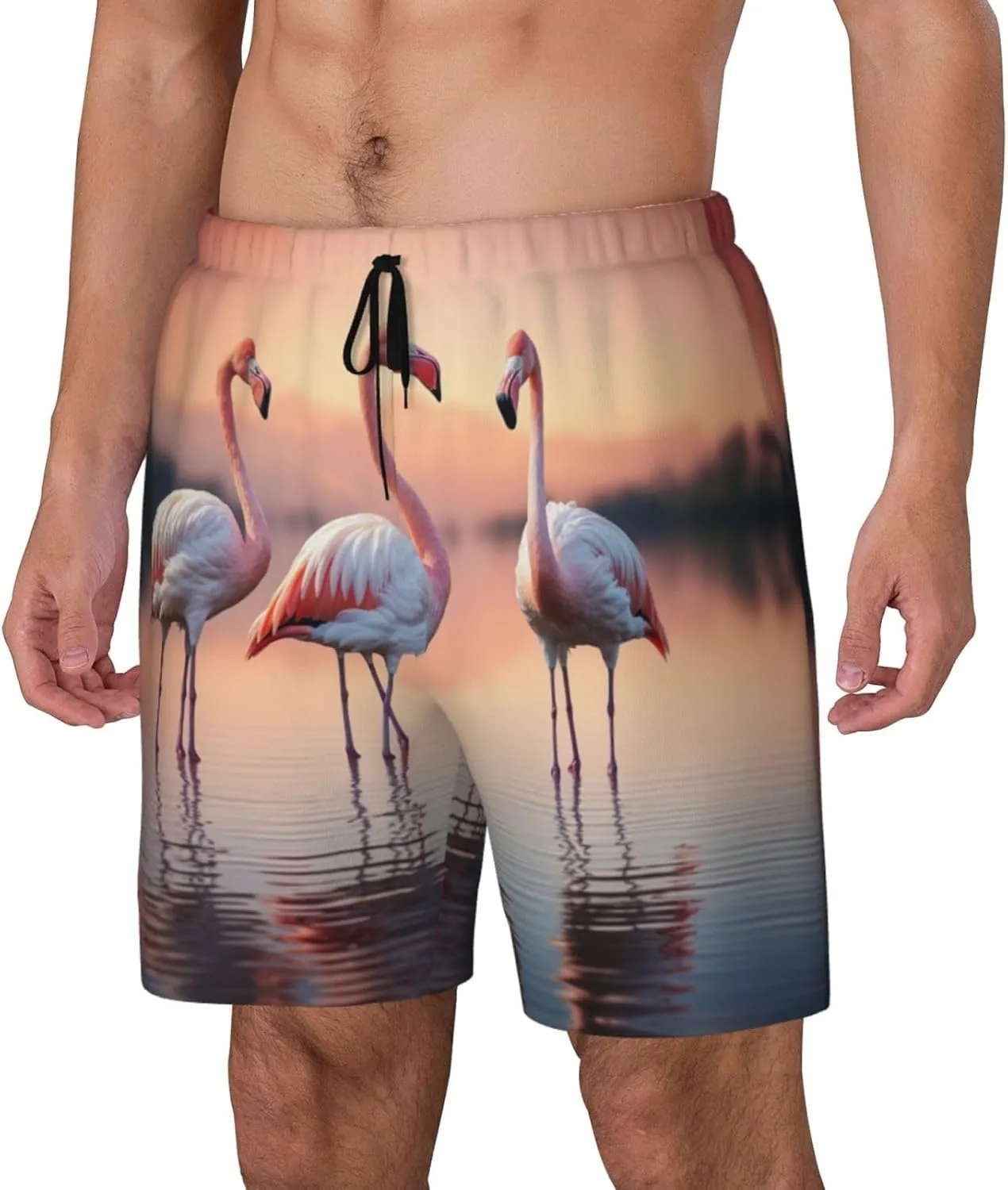 Four Flamingos Print Men's Double Layer Swim Shorts, Gym Workout Shorts with Pocket