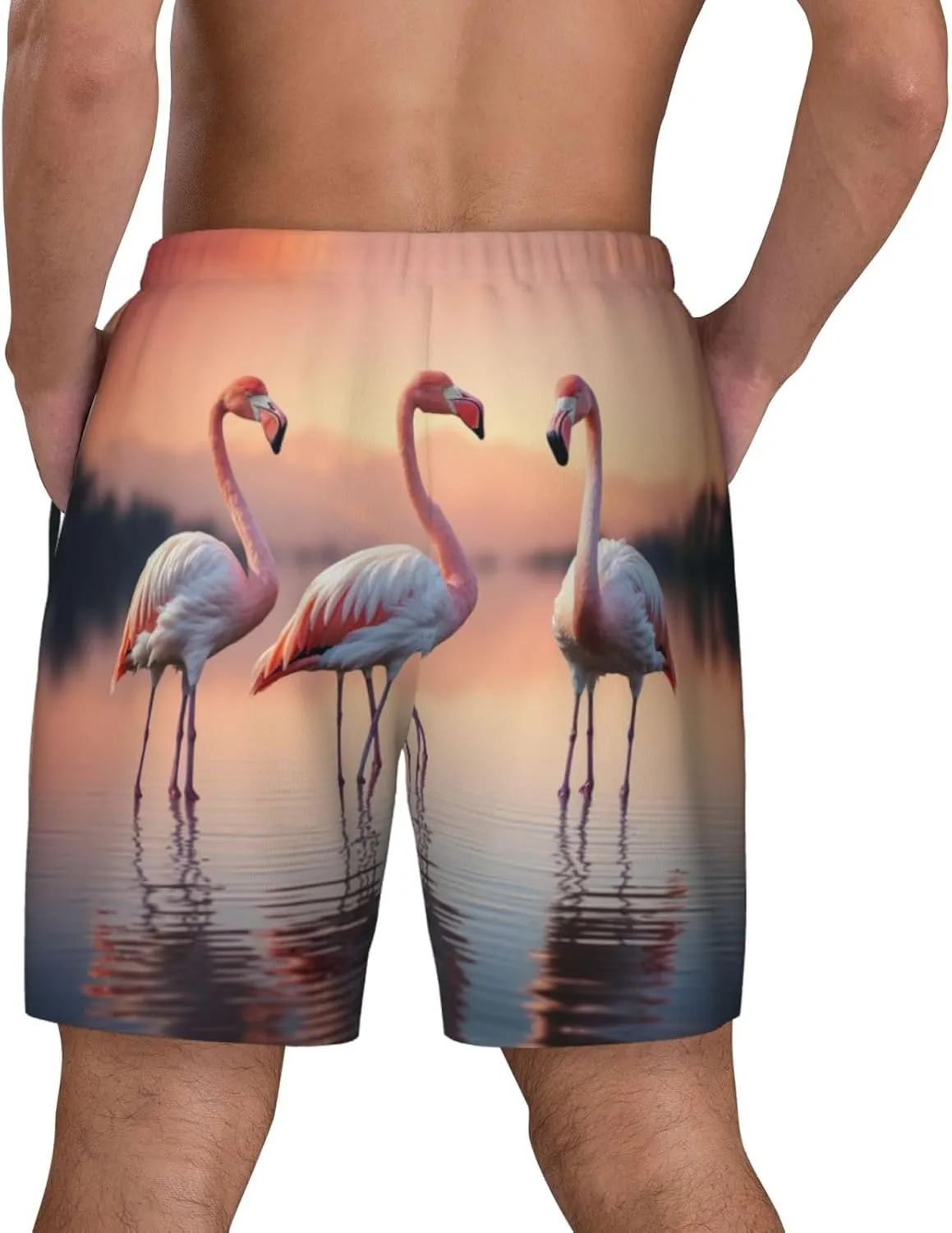 Four Flamingos Print Men's Double Layer Swim Shorts, Gym Workout Shorts with Pocket