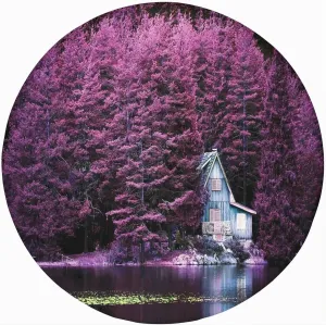 Lavender Round Fitted Tablecloth,Purple Trees by Lake Romantic Spring Nature Print Elastic Edged Polyester Table Pad Small Fit Round Tables Diameter for Party Dining Banquet Purple 72x72 in