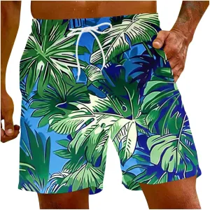 Men Beach Size Summer Leisure Print Fun Men's 3D Beach Plus Sports Men's Pants Mens Hoodies Mens Swimming Short Swim