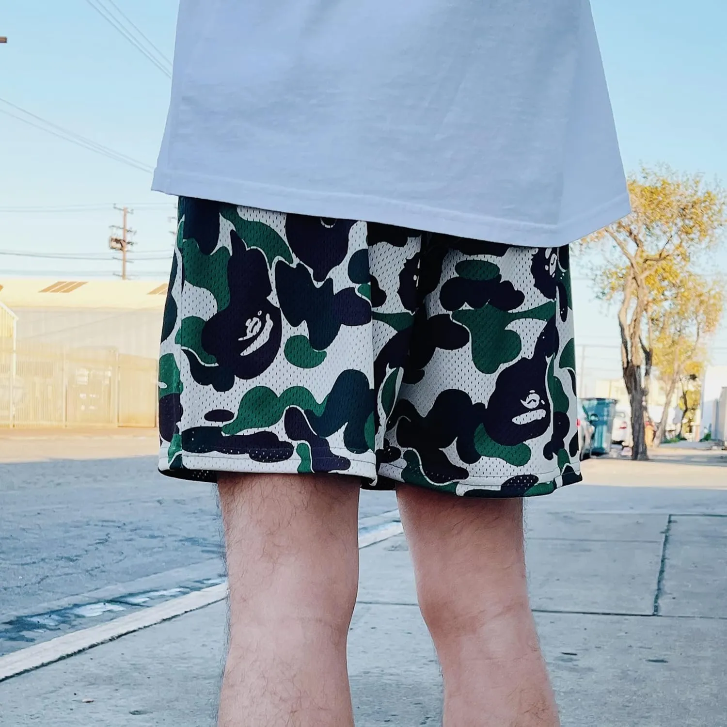 Men's Graphic Print Shorts Mesh Basketball Athletic Workout Gym Shorts