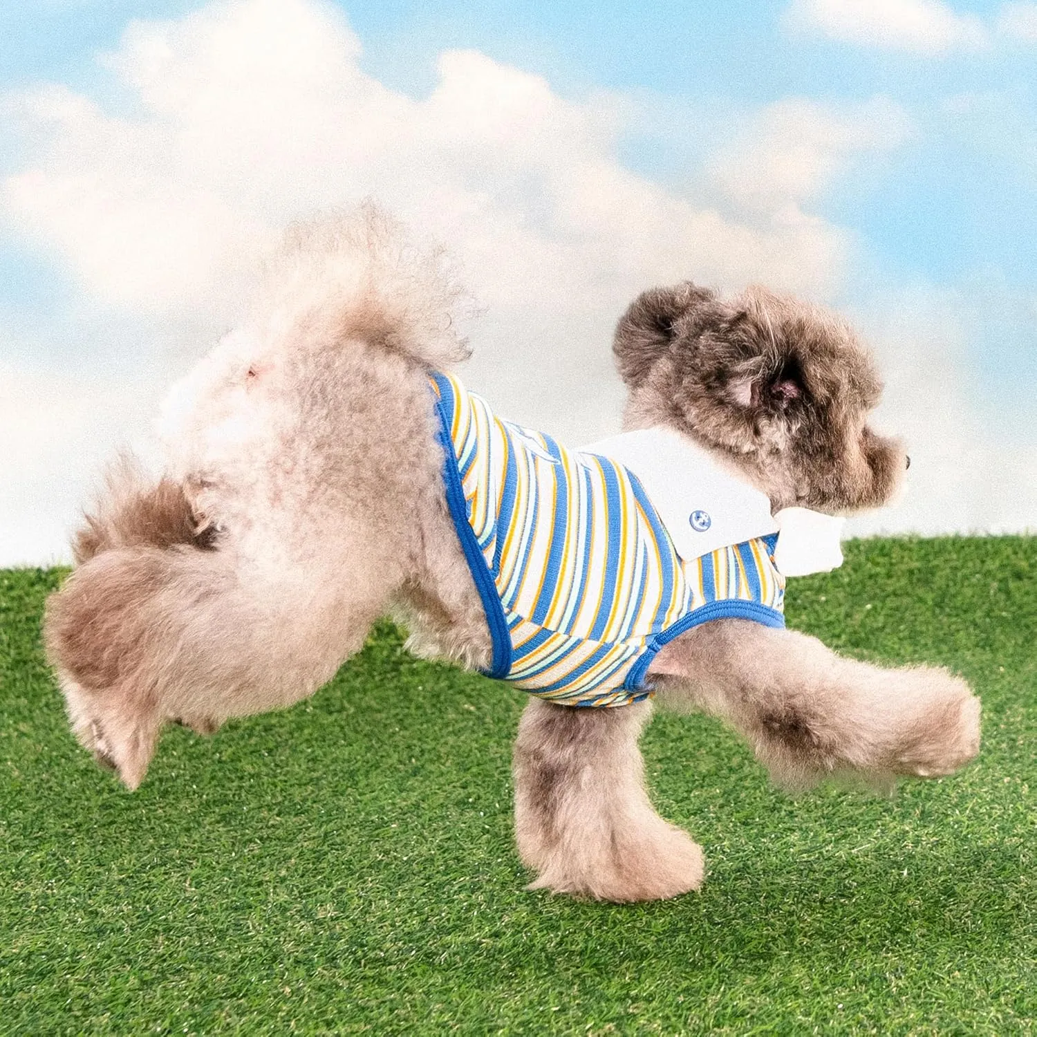 Puppia Perri Dog Shirt Round NeckTrendy Fashionable Cute Dog Apparel for Small and Medium Dogs, Blue, Medium
