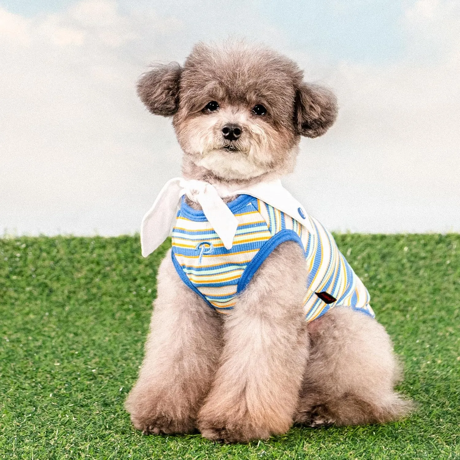 Puppia Perri Dog Shirt Round NeckTrendy Fashionable Cute Dog Apparel for Small and Medium Dogs, Blue, Medium