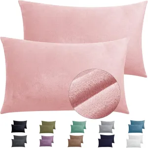 TELUS 2 Pack Zippered Velvet Queen Pillowcases, Super Soft and Cozy Luxury Fuzzy Flannel Pillow Cases with Zipper, 20x30 Inches, Pink