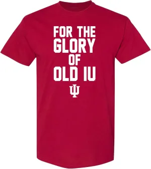 UGP Campus Apparel NCAA Fight Song Sport, Team Color T Shirt, College, University